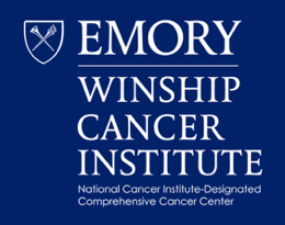 emory cancer-connections-about
